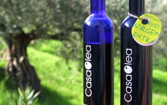 Casa Olea olive oil andalucia