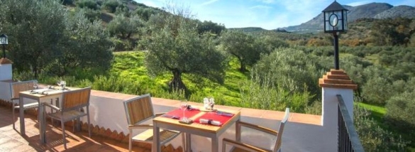 dinner with view olive groves andalucia casa olea spain