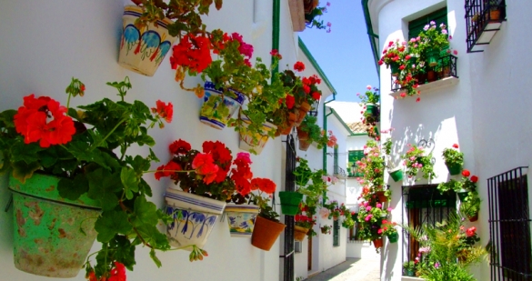 Best places to go in Andalucia in 2014