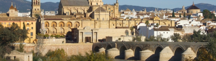 roman bridge and mezquita cordoba 