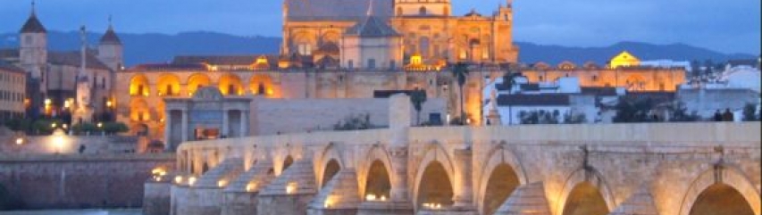 view of the mezquita and roman bridge cordoba spain