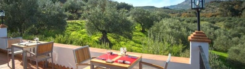 dinner with view olive groves andalucia casa olea spain