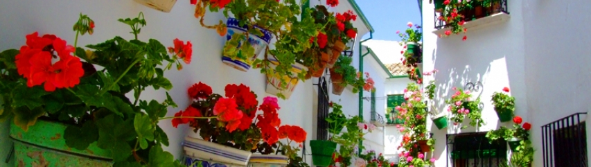 Best places to go in Andalucia in 2014