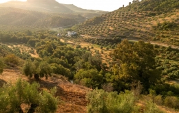 Kleine Luxus-Gästehaus im ländlichen Andalusien 