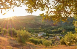 Wilde Natur und Endlose Freiheit Casa Olea landhotel Andalusien
