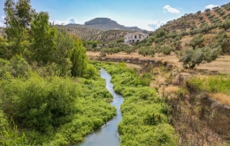 River bank for birding Casa Olea boutique hotel Spain 