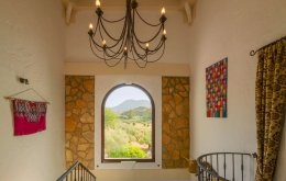 Views of olive groves Casa Olea boutique hotel Spain 