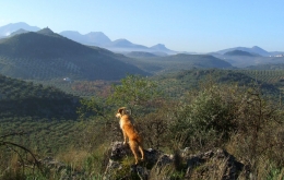 Casa Olea Spanien ländlichen Rückzugsort zum Wandern Andalusien