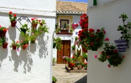 Casa Olea Hotel Priego de Cordoba Cruces de Mayo Festival