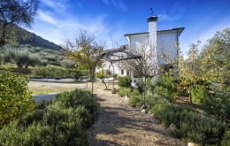 Casa Olea B&B Andalucia entrance gardens