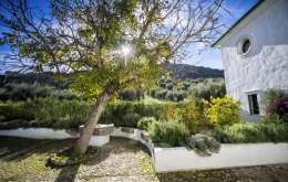 Casa Olea B&B Andalucia entrance