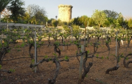 Casa Olea B&B ländliche Spanien Weinberg Tour Alcala La Real