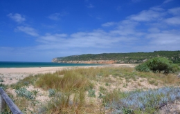 Casa Olea combine Andalucia interior with Costa de la Luz beaches