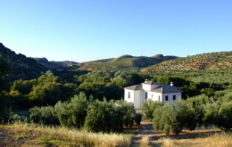 Casa Olea Bed & Breakfast between Granada & Cordoba Andalucia