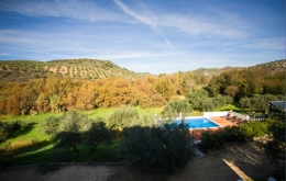 Casa Olea boutique hotels Andalucia with pool view