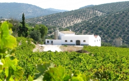 Casa Olea B&B rural Spain winery tour Montilla bodega