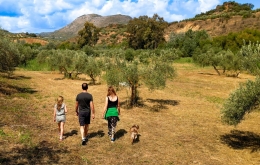 Family holidays Andalucia mountains Casa Olea Spain